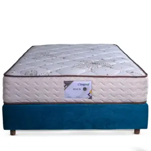 مرتبة الدورا روك سوست منفصلة