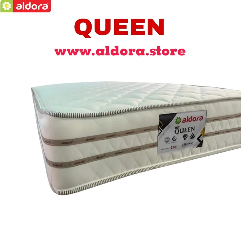 WhatsApp-image-2024-10-28-at-5.47.21-PM