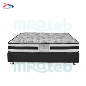 مرتبة بلوماس