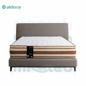 تيوليب، ارتفاع 32 سم، نوابض متصلة