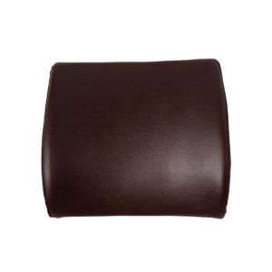 مسند ظهر ألدورا